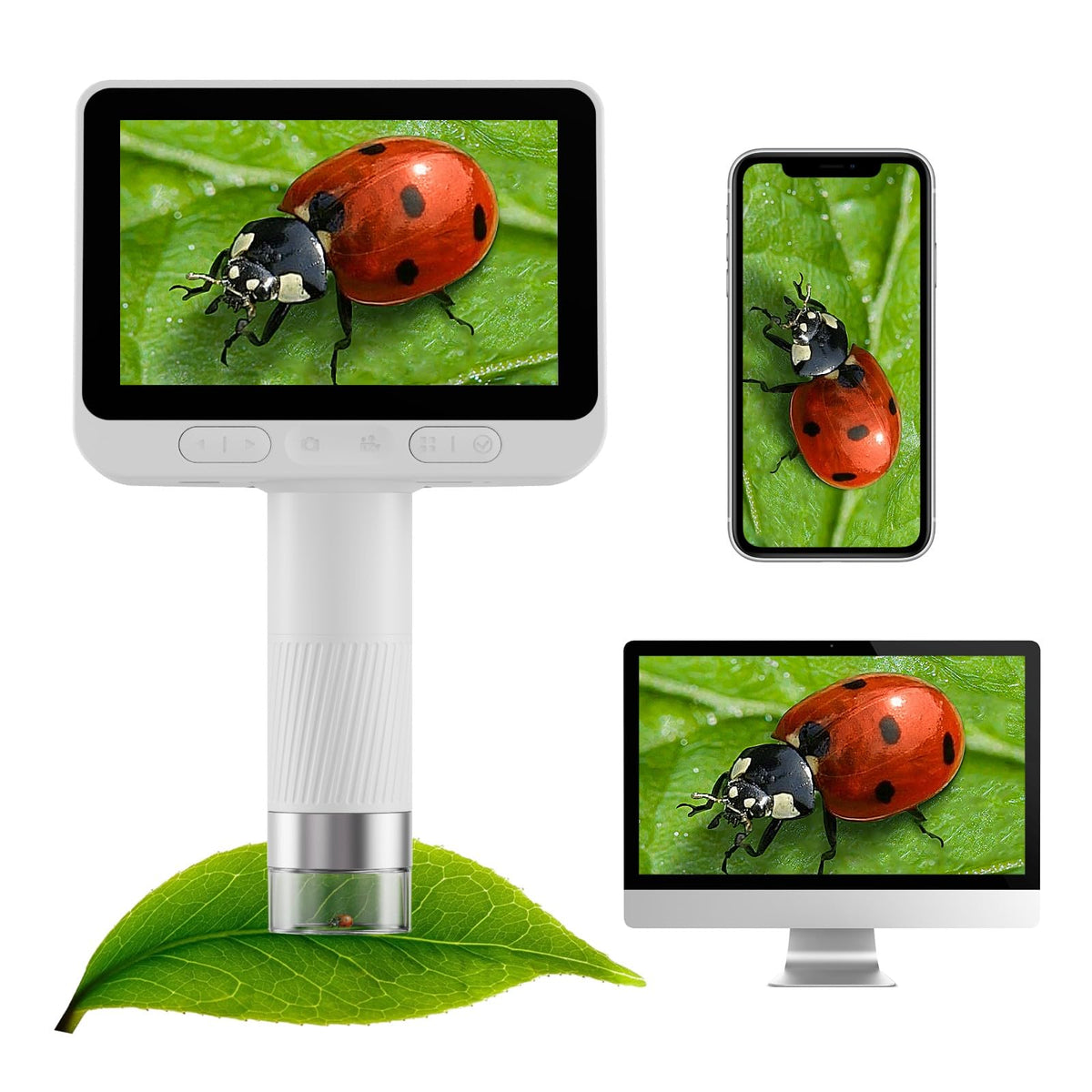 4.0" Microscope for Kids