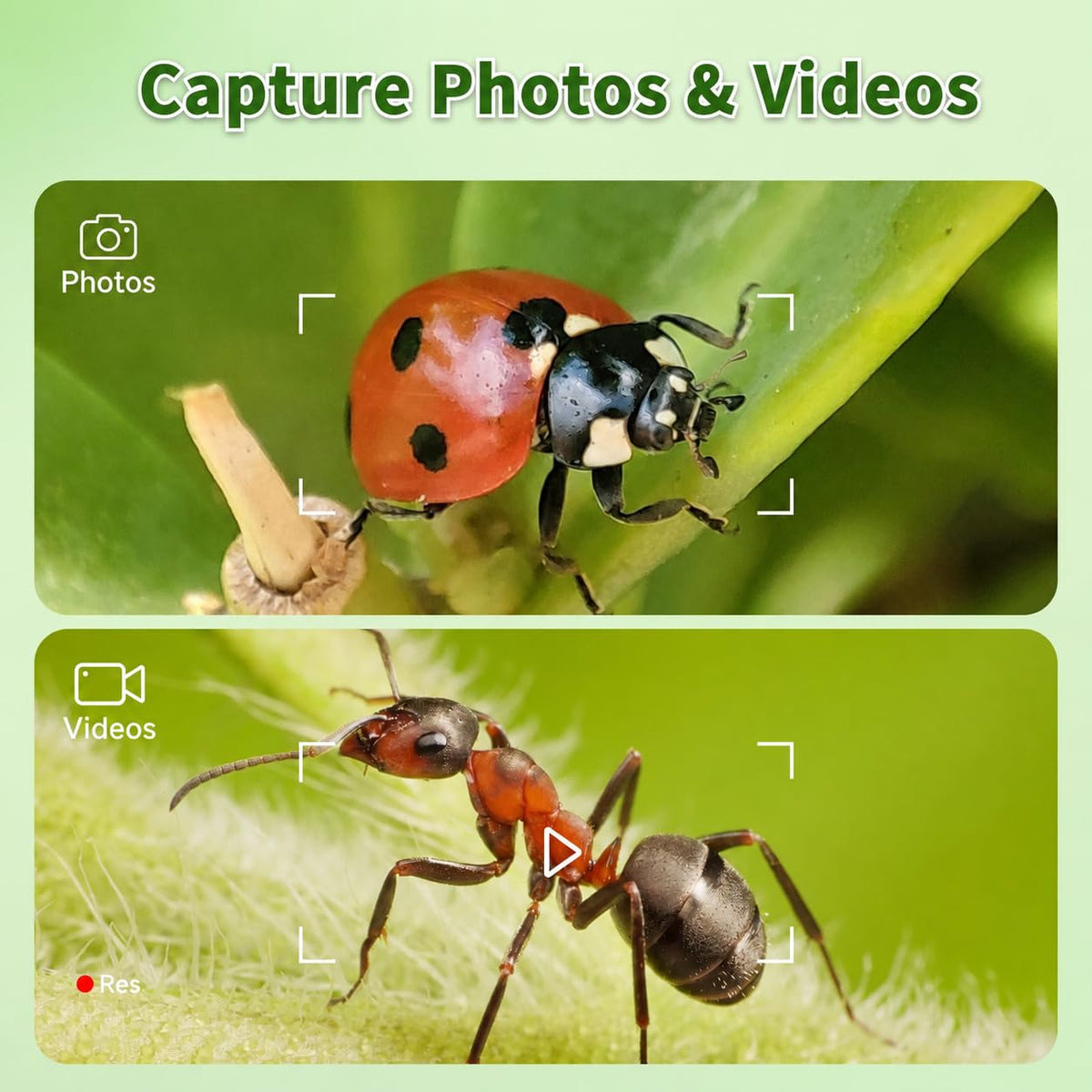 4.0" Microscope for Kids