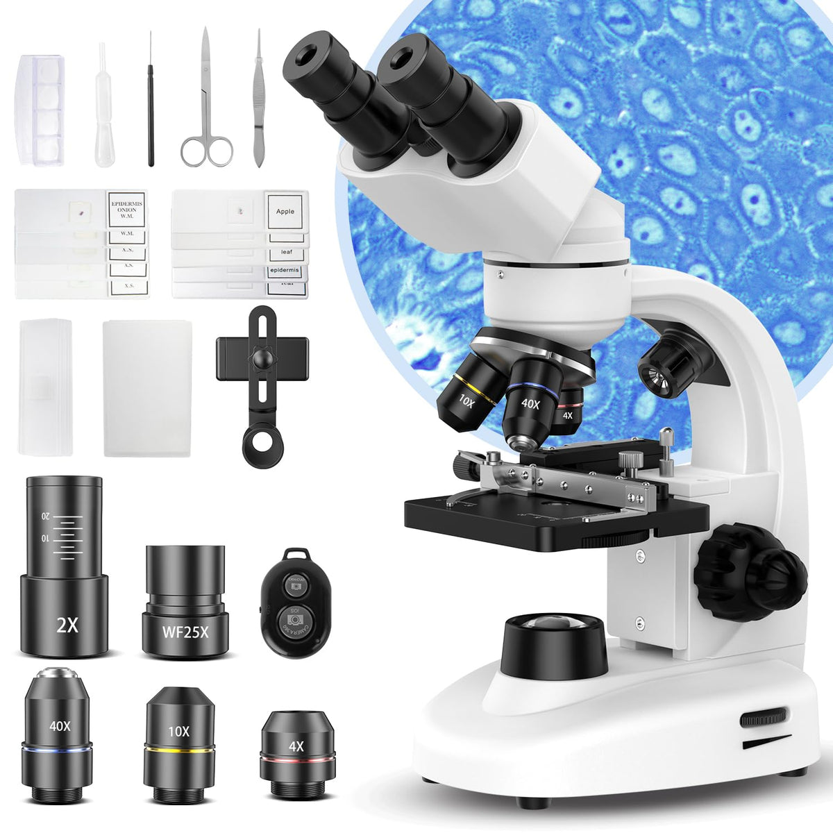 PalliPartners Compound Binocular Microscope front angle | Smaronics