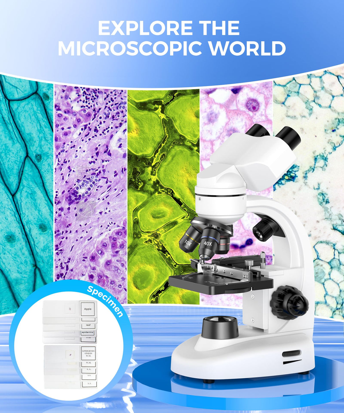PalliPartners Compound Binocular Microscope side profile | Smaronics